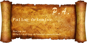 Pallag Artemisz névjegykártya